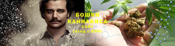 трава Алзамай