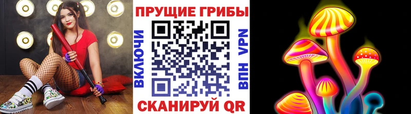 наркотики  Камбарка  Галлюциногенные грибы Cubensis 